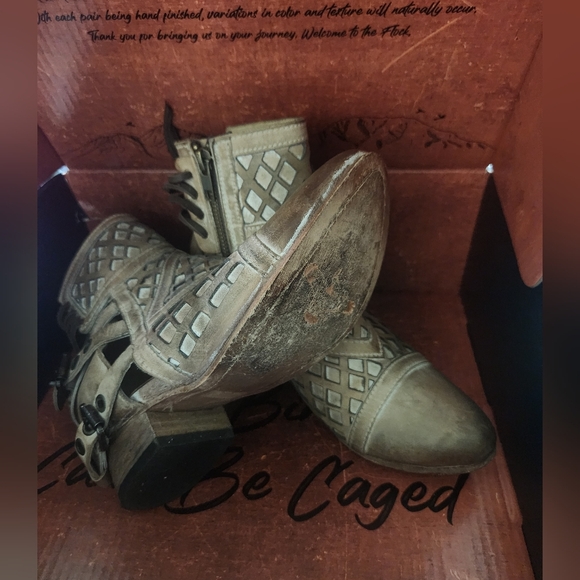 🦄 Freebird by Steven Skylar - Picture 3 of 3